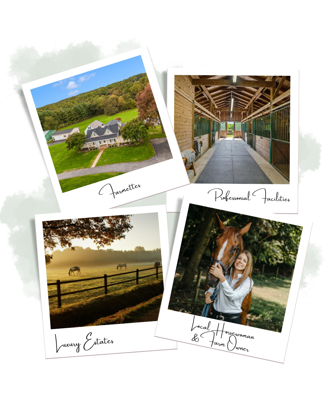 Horse Properties